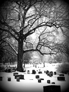 Cemetery_Cville_b&w_snow_2010